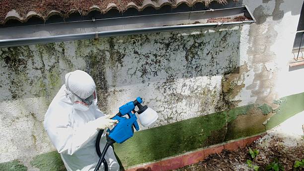 Top rated local Mold Remediation specialists in Downingtown, PA